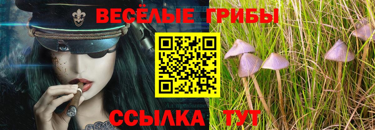 Галлюциногенные грибы мухоморы  Псилоцибиновые грибы Cubensis  Великий Устюг  Вход с VPN 