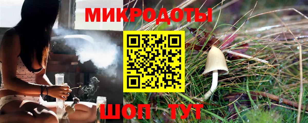 Галлюциногенные грибы ЛСД Великий Устюг